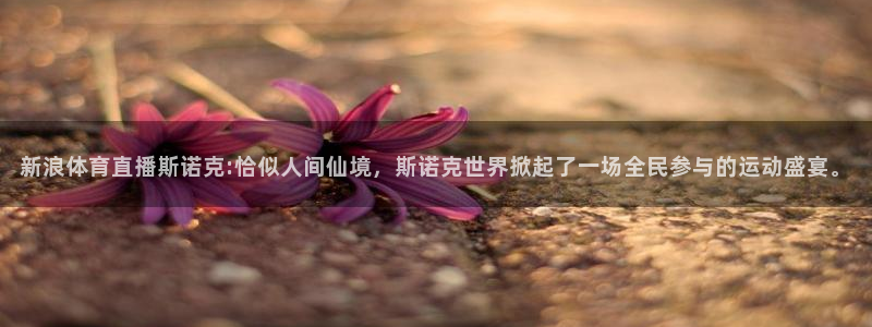 新浪体育直播斯诺克:恰似人间仙境，斯诺克世界掀起了一场全民参与的运动盛宴。